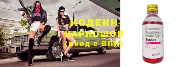 крисы Майский