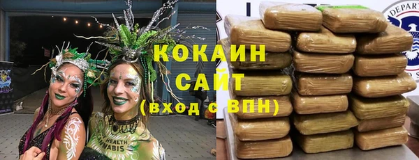 крисы Майский